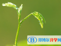 宝鸡2021年江南app下载官网
技巧