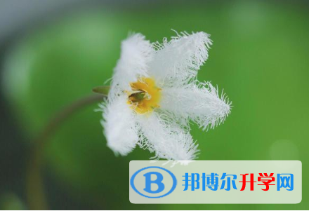宝鸡2021年江南app下载官网
表