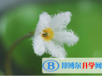 宝鸡2021年江南app下载官网
表