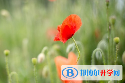 宝鸡2021年中考志愿怎么填