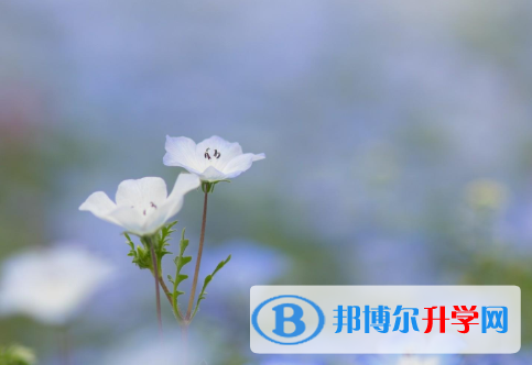 保定2021年中考录取查询入口