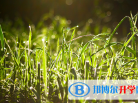 石家庄2021年中考时间表