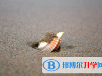 保定2021年中考艺体时间