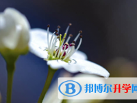保定2021年中考志愿怎么填报