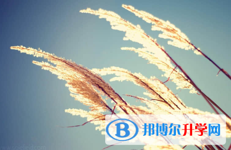 秦皇岛2021年中考改志愿
