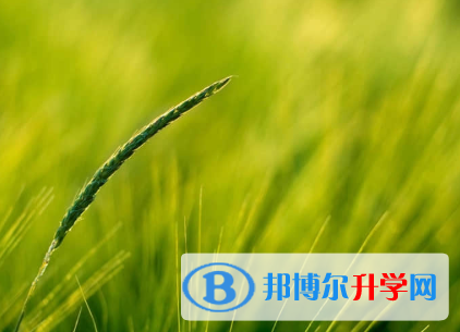 秦皇岛2021年中考成绩查询入口