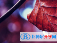 秦皇岛2021年中考网络应用服务平台成绩查询