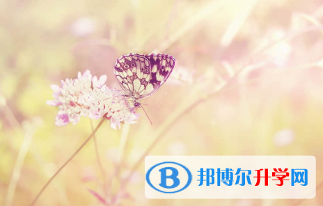 秦皇岛2021年中考怎样考出好成绩
