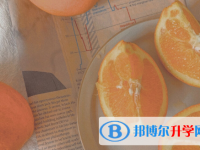 秦皇岛2021年中考报名网站