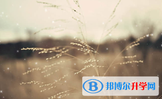 承德2021年中考查询成绩网址