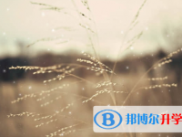 承德2021年中考查询成绩网址