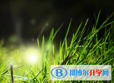 承德2021年中考查询系统