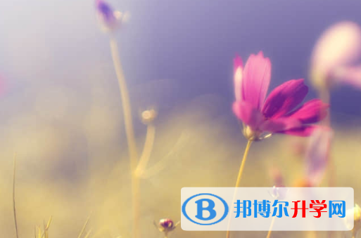 承德2021年中考查询总成绩