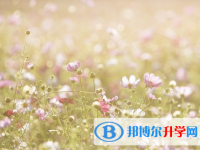 承德2021年中考成绩如何查询