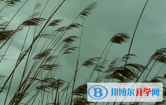 承德2021年中考成绩什么时候出来