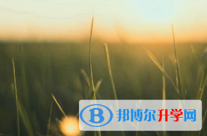 承德2021年中考成绩怎么查询