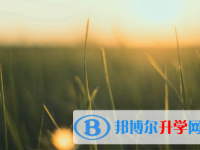 承德2021年中考成绩怎么查询