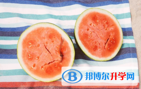 承德2021年中考查询网