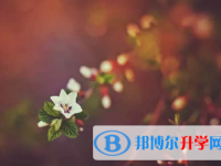 承德2021年中考成绩什么时候公布