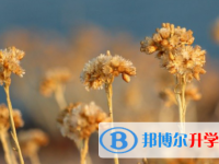 承德2021年中考录取结果