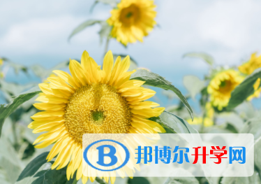 张家口2021年中考考试说明