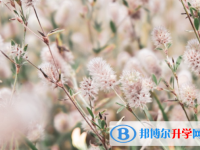 承德2021年中考录取名单