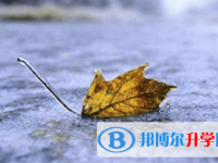 承德2021年中考网登录
