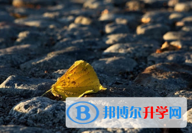 承德2021年中考线预测