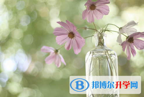 张家口2021年中考重点复习