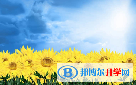 承德2021年中考预估重点线