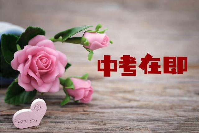 邢台2021年中考填志愿怎么填