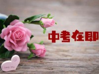 邢台2021年中考填志愿怎么填