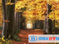 张家口2021年怎样才能参加中考