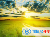 张家口2021年优志愿中考版