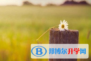 承德2021年中考生活注意事项