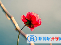 自贡2021年中考体育考试成绩查询