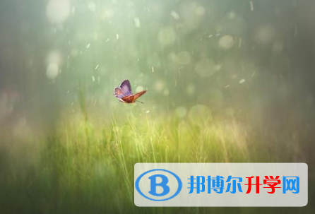 自贡2021年中考报名服务平台