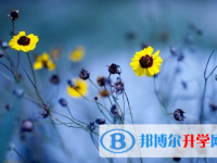 攀枝花2021年中考没考好可以复读吗