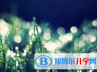 泸州2021年中考报名平台