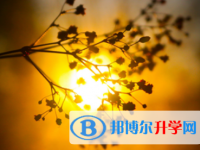 泸州2021年中考报名网