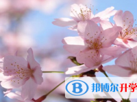 泸州2021年中考网上报考信息平台