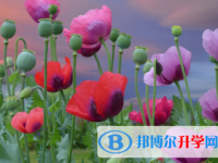 德阳2021年如何查询中考录取名单