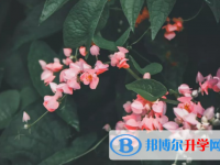 绵阳2021年中考网上模拟报名