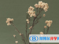 绵阳2022年中考报名网站登录