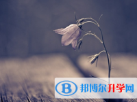 广元2022年中考录取结果查询