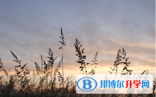 遂宁2022年中考录取报名网