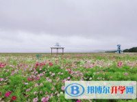 遂宁2022年中考网上报考信息平台