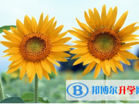 遂宁2022年中考网上查询
