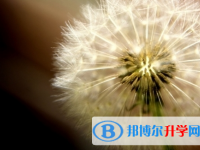 遂宁2022年中考网上模拟报名