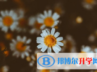 遂宁2022年中考报名服务平台